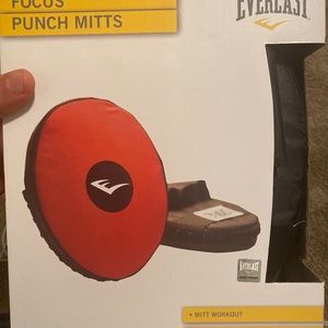 Everlast focus punch mitts